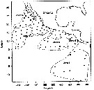 Species Pleuromamma robusta - Distribution map 13