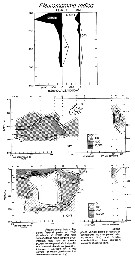 Espèce Pleuromamma indica - Carte de distribution 6
