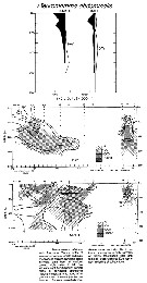 Species Pleuromamma abdominalis - Distribution map 20