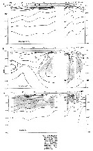 Espèce Subeucalanus subtenuis - Carte de distribution 10