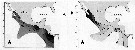 Espèce Clausocalanus furcatus - Carte de distribution 17