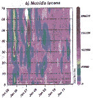 Espèce Metridia lucens - Carte de distribution 20