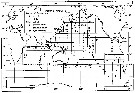 Species Oithona robusta - Distribution map 3