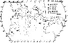 Species Arietellus plumifer - Distribution map 3