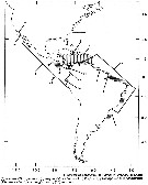 Espèce Pseudodiaptomus gracilis - Carte de distribution 2