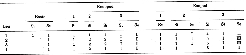 Espce Epicalymma schmitti - Planche 2 de figures morphologiques