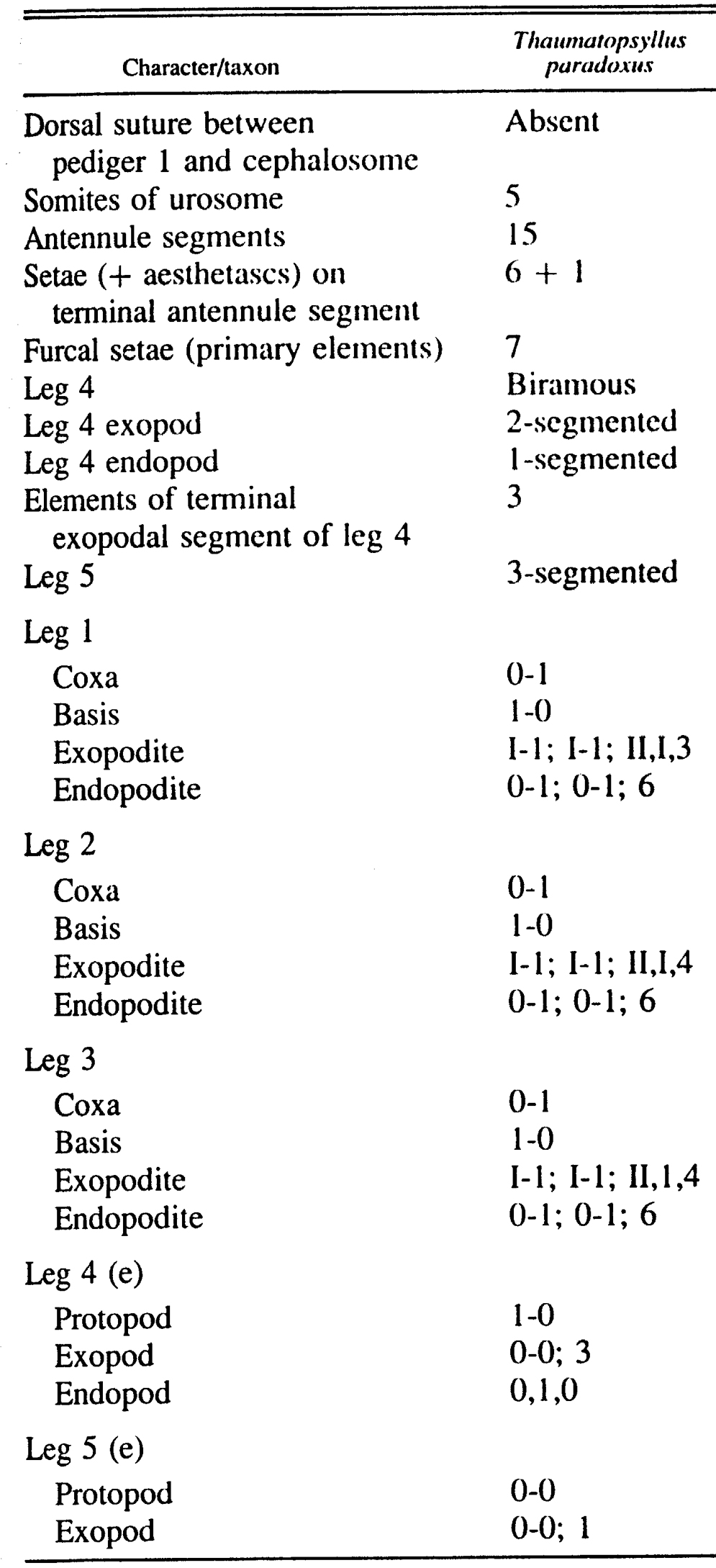 Espce Thaumatopsyllus paradoxus - Planche 2 de figures morphologiques
