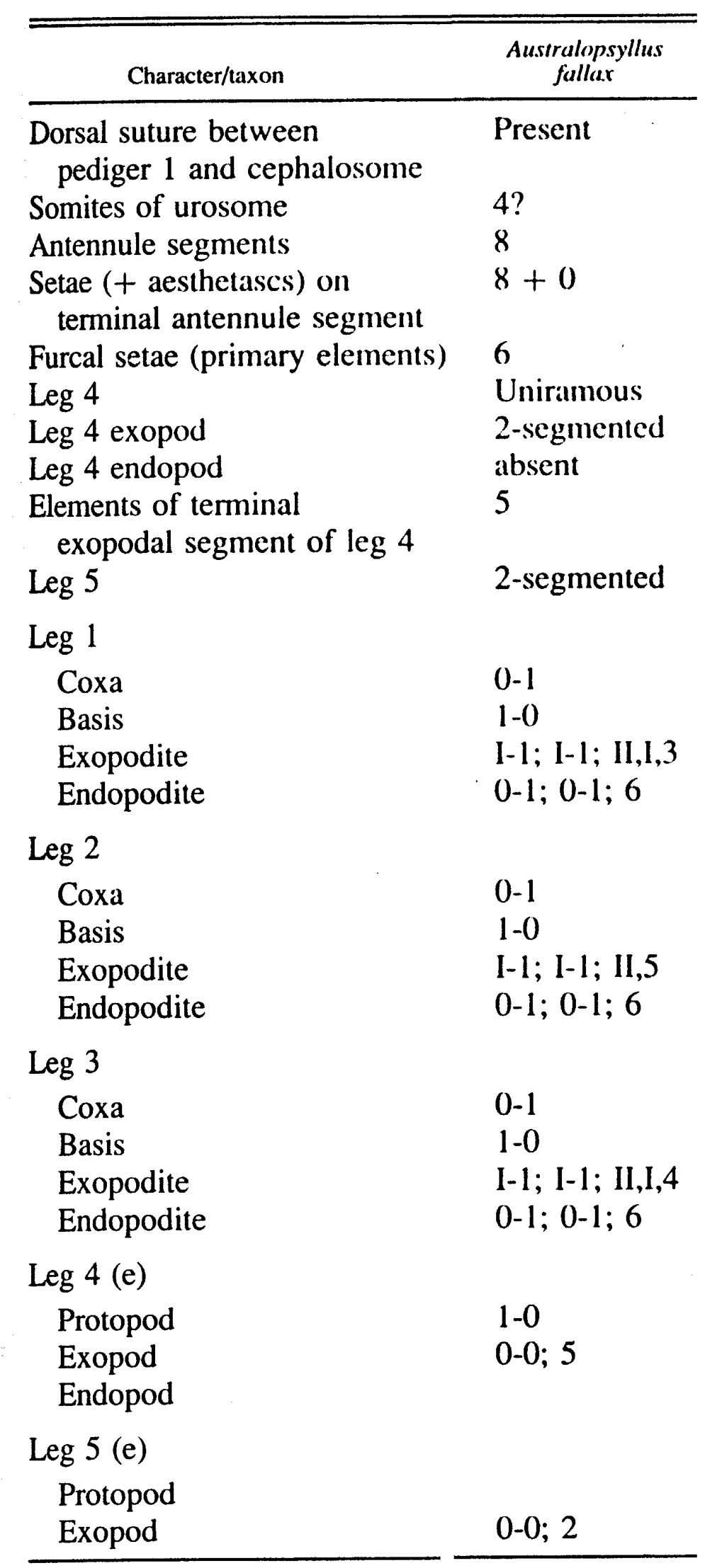 Espèce Australopsyllus fallax - Planche 4 de figures morphologiques