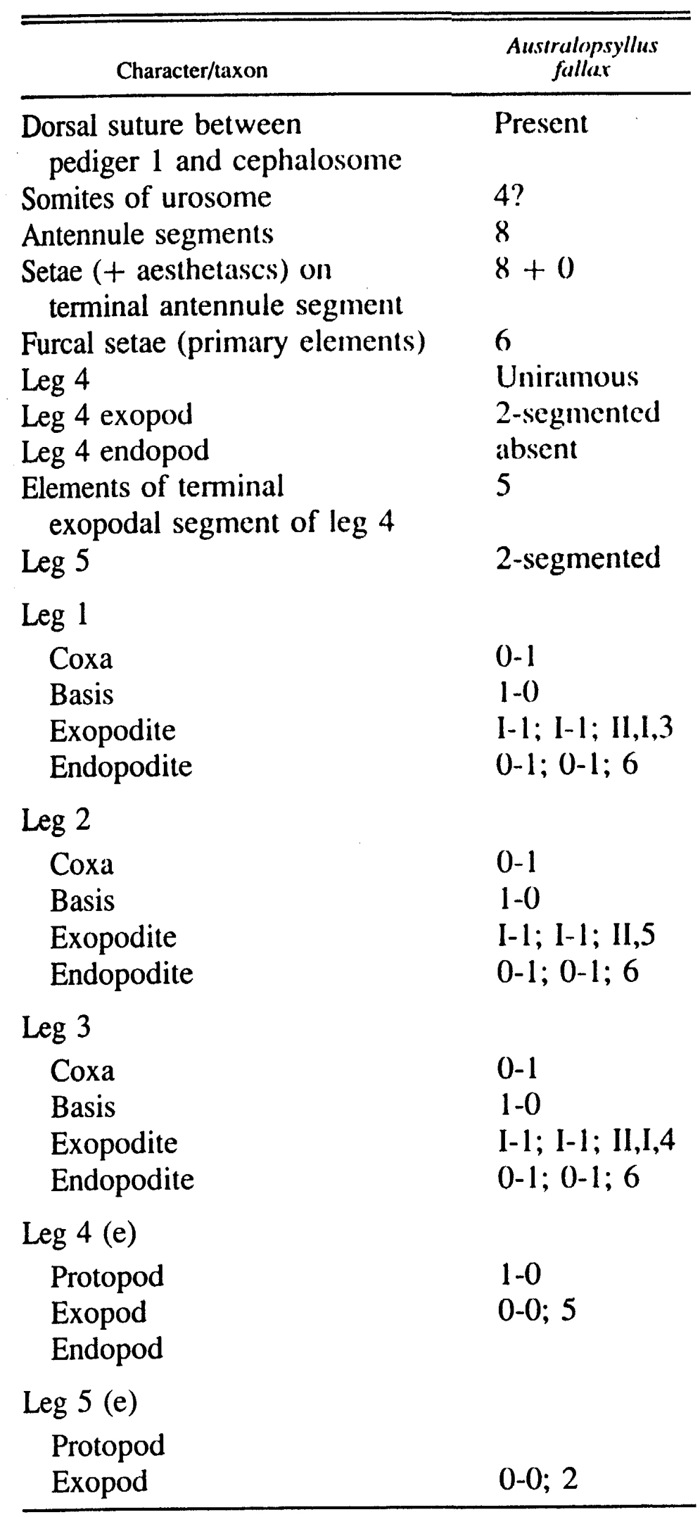 Espce Caribeopsyllus chawayi - Planche 4 de figures morphologiques