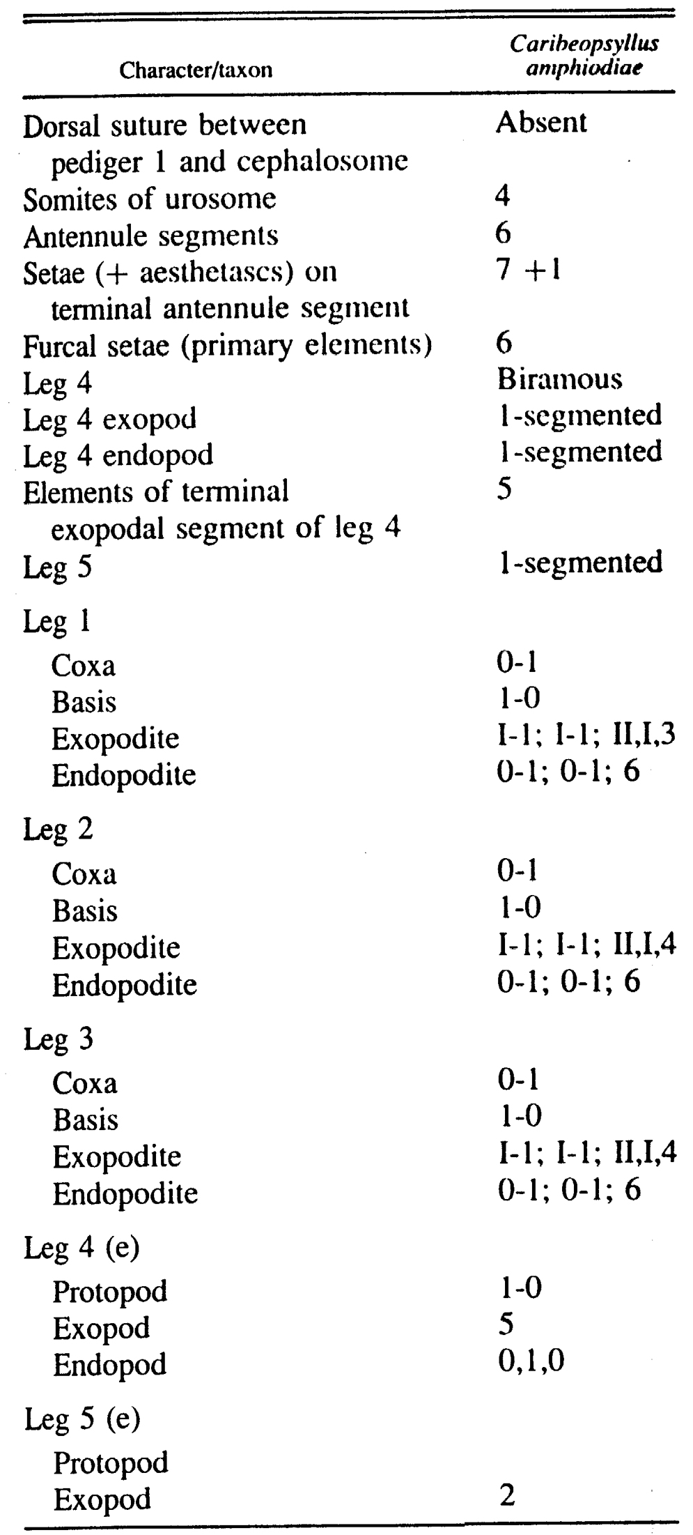 Espce Caribeopsyllus amphiodiae - Planche 5 de figures morphologiques