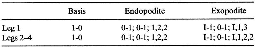 Espce Cymbasoma cocoense - Planche 4 de figures morphologiques