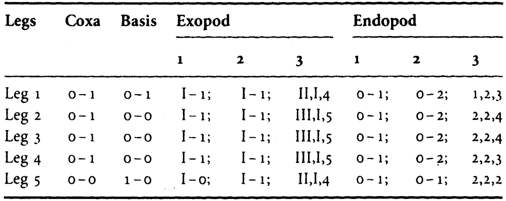Espèce Centropages uedai - Planche 4 de figures morphologiques