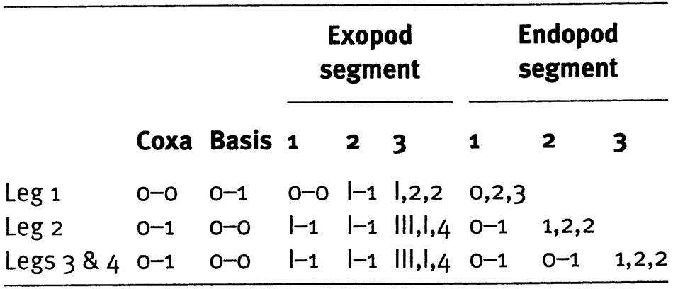 Species Stephos vivesi - Plate 10 of morphological figures