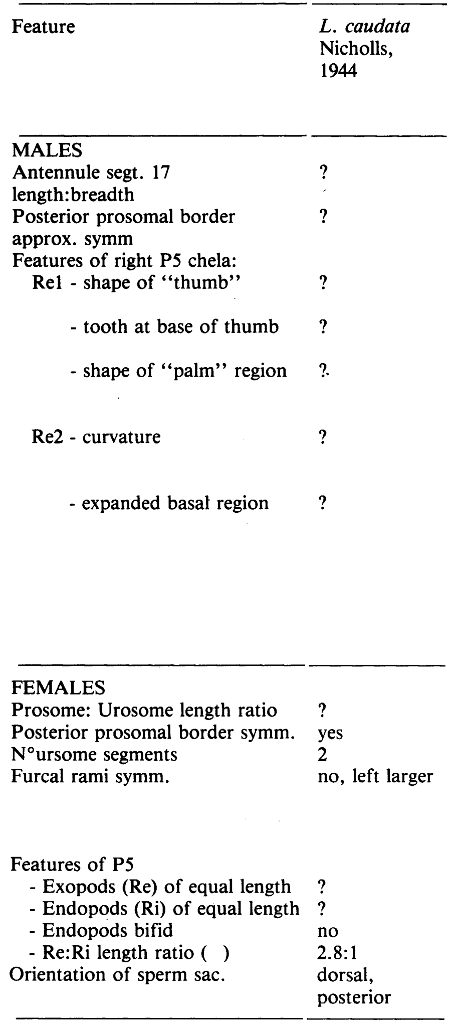 Espèce Labidocera caudata - Planche 3 de figures morphologiques