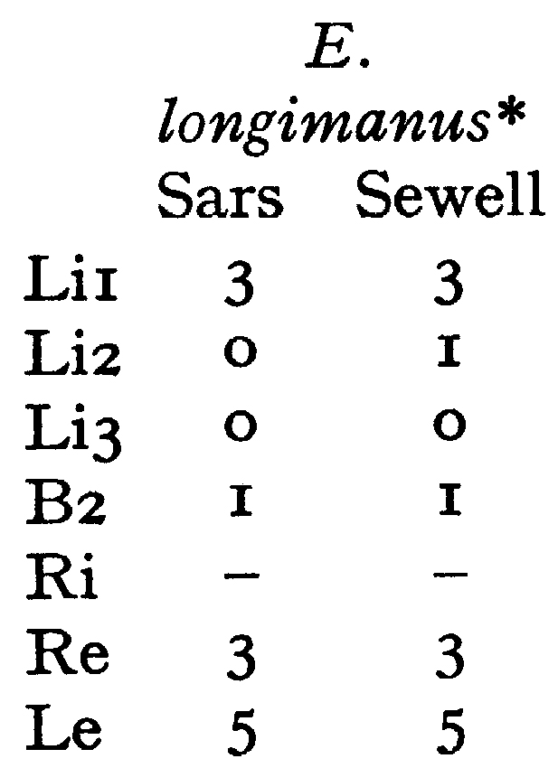 Species Euaugaptilus longimanus - Plate 12 of morphological figures