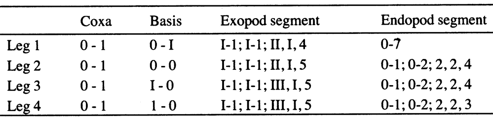 Espèce Pseudocyclops faroensis - Planche 4 de figures morphologiques