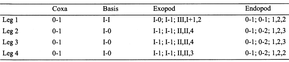 Espèce Speleophria nullarborensis - Planche 4 de figures morphologiques
