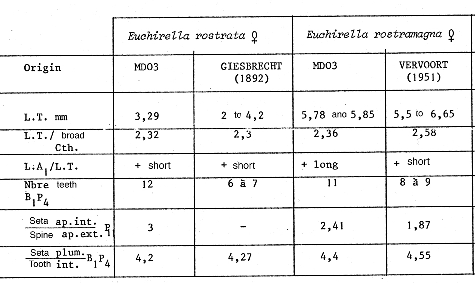 Espèce Euchirella rostromagna - Planche 16 de figures morphologiques