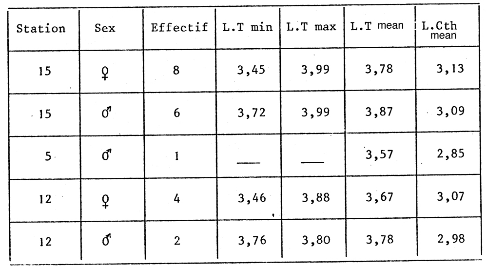Espce Candacia maxima - Planche 11 de figures morphologiques