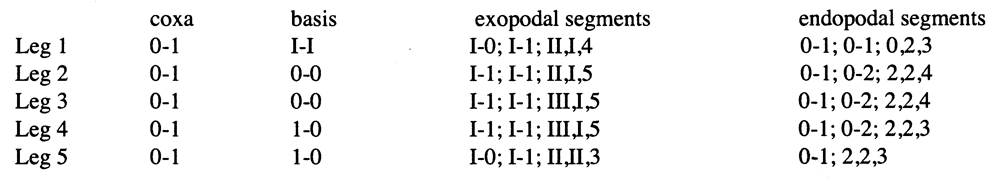 Espce Boholina parapurgata - Planche 5 de figures morphologiques