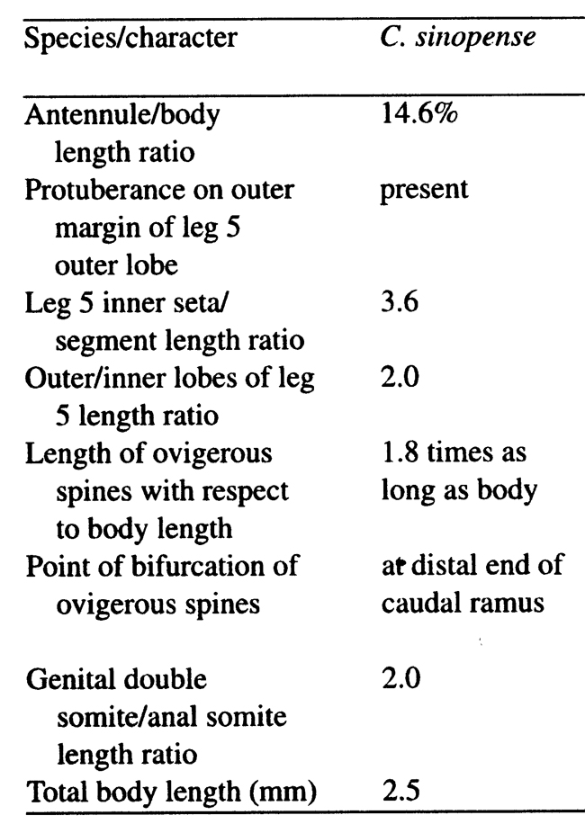 Espce Cymbasoma sinopense - Planche 6 de figures morphologiques