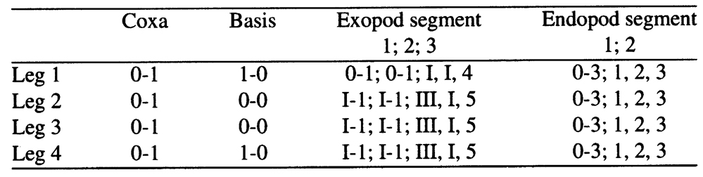 Espce Tortanus (Atortus) andamanensis - Planche 4 de figures morphologiques