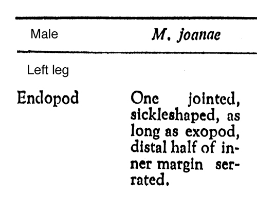 Espèce Macandrewella joanae - Planche 7 de figures morphologiques