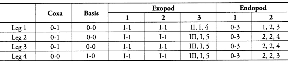 Espce Calanopia thompsoni - Planche 14 de figures morphologiques