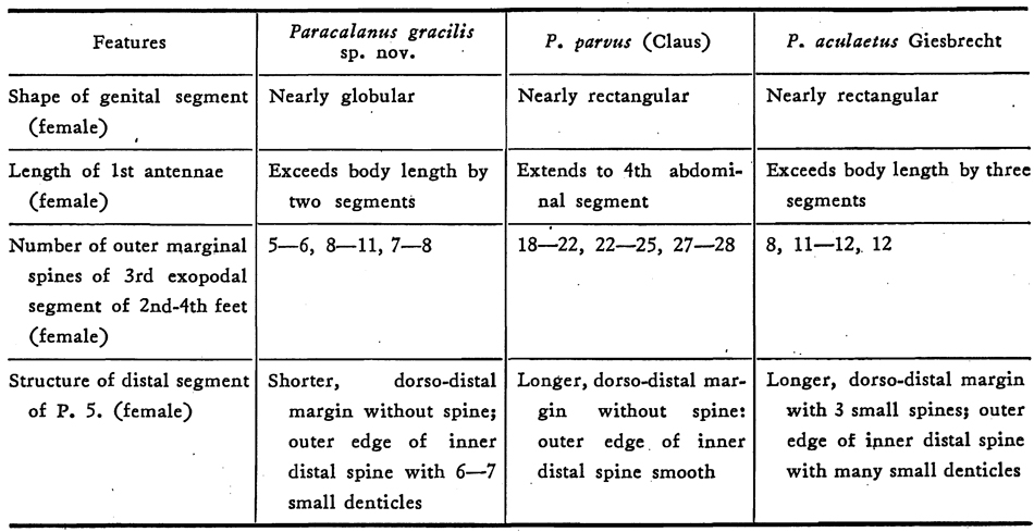 Espce Paracalanus gracilis - Planche 7 de figures morphologiques