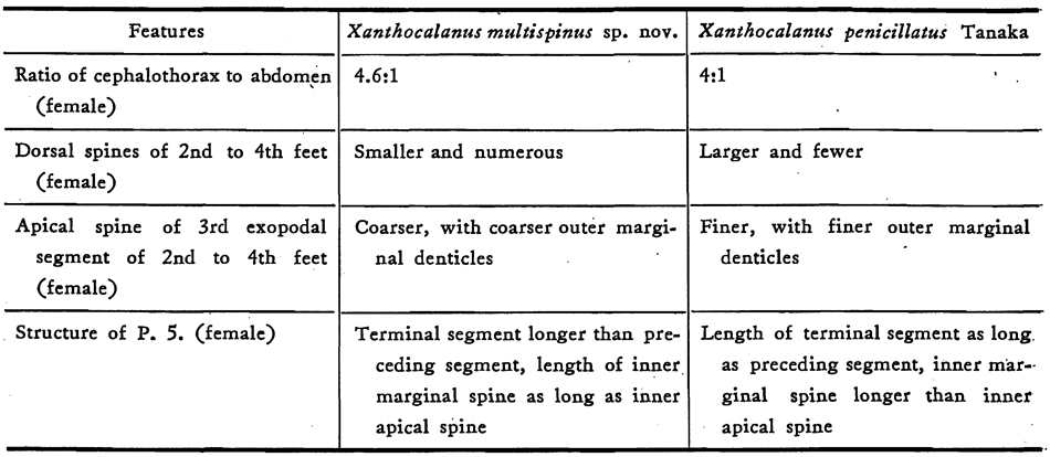 Espce Xanthocalanus multispinus - Planche 2 de figures morphologiques