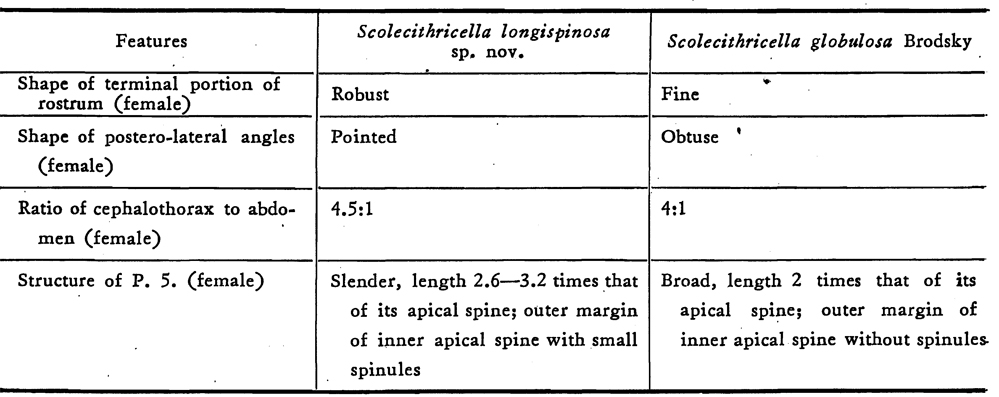 Espce Scolecithricella longispinosa - Planche 5 de figures morphologiques