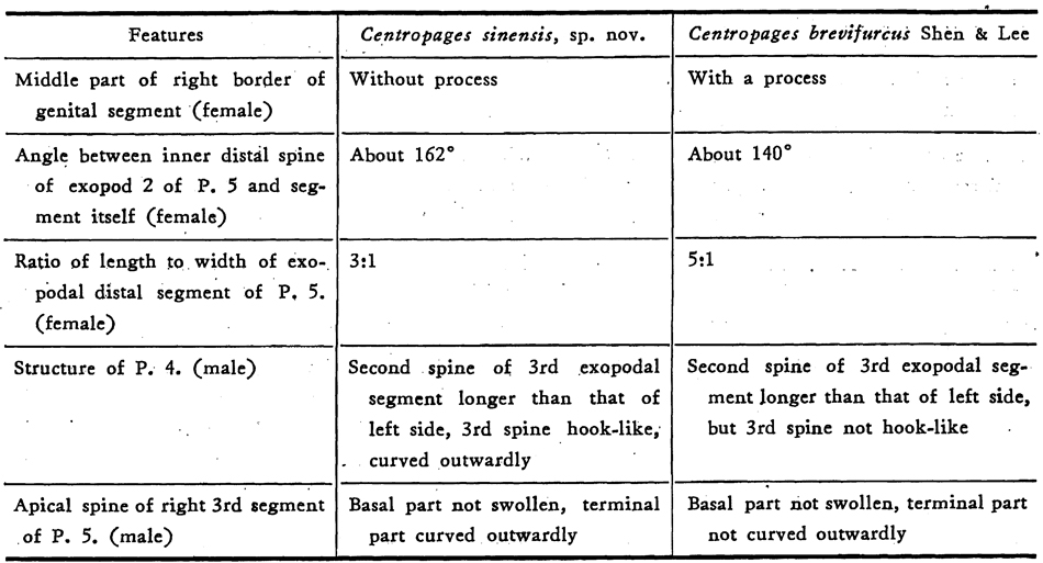 Espce Centropages sinensis - Planche 3 de figures morphologiques