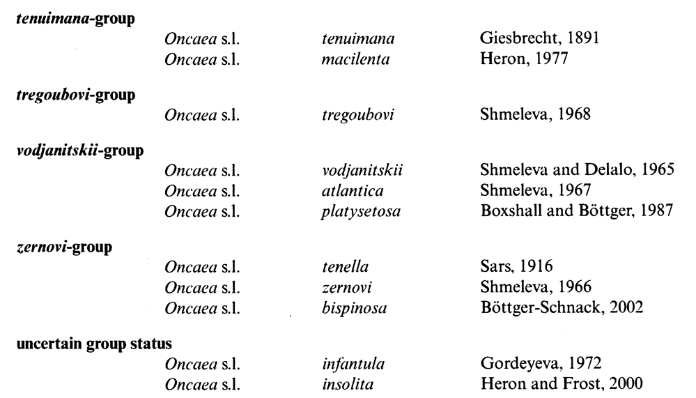 Genre Oncaea - Planche 9