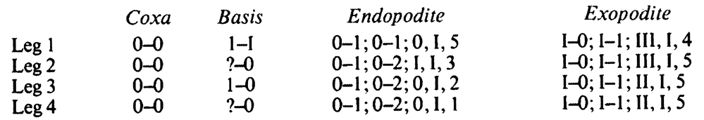 Espce Oncaea heronae - Planche 2 de figures morphologiques