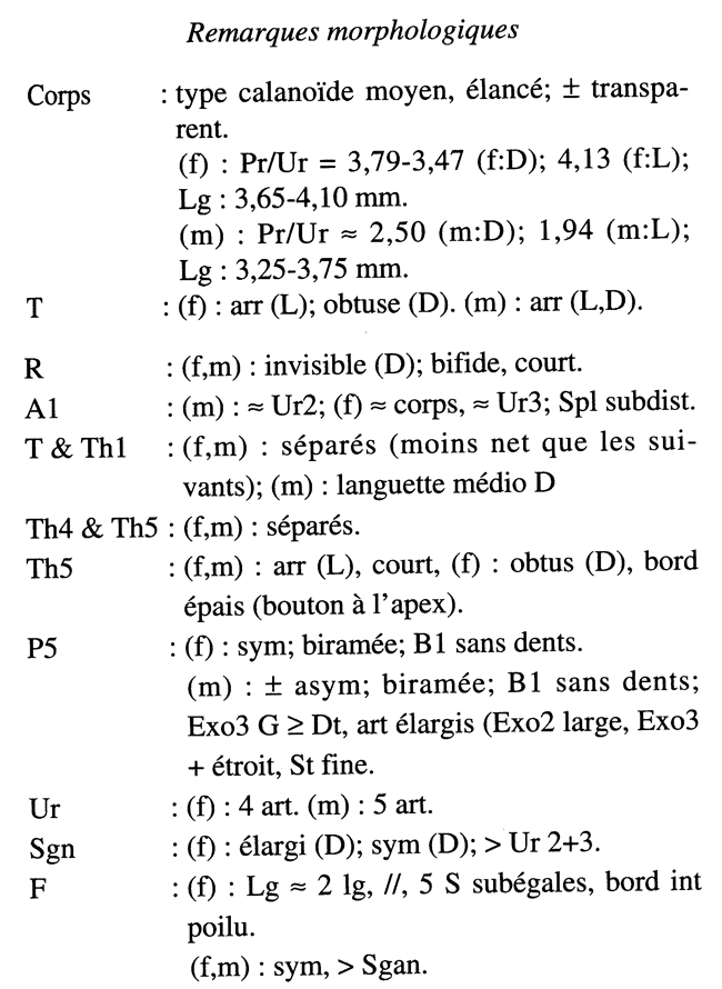 Espce Neocalanus tonsus - Planche 19 de figures morphologiques