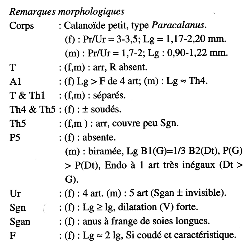 Espèce Spinocalanus abyssalis - Planche 19 de figures morphologiques