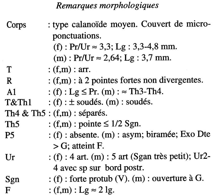 Species Aetideopsis antarctica - Plate 5 of morphological figures