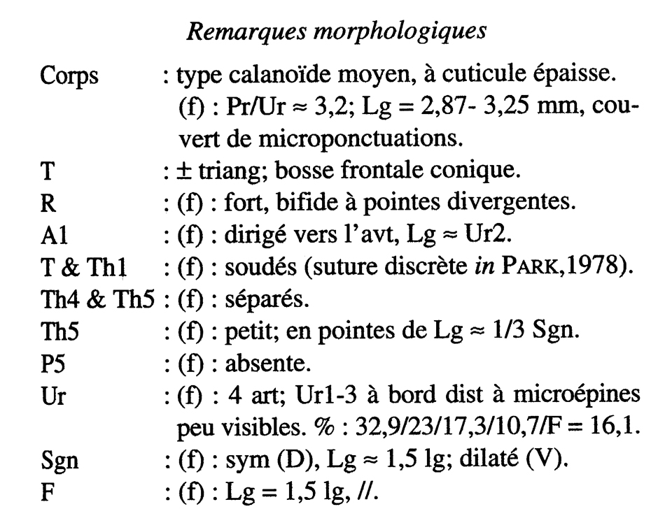 Espce Aetideopsis minor - Planche 13 de figures morphologiques