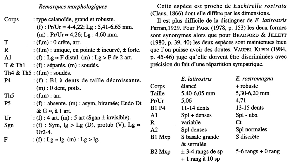 Espèce Euchirella rostromagna - Planche 17 de figures morphologiques
