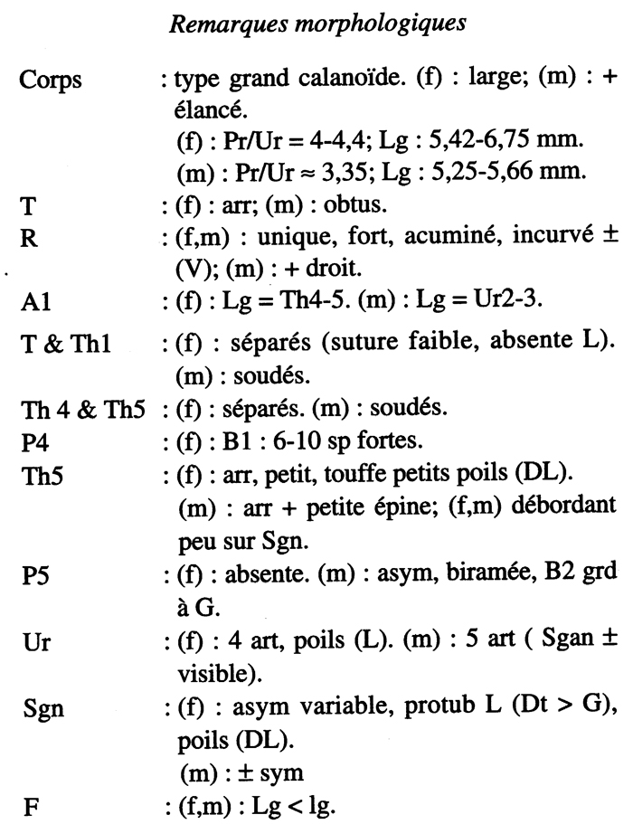 Espce Pseudochirella mawsoni - Planche 18 de figures morphologiques