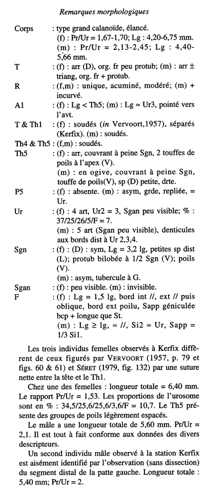 Espce Paraeuchaeta biloba - Planche 22 de figures morphologiques