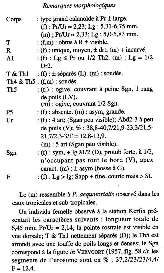Espce Paraeuchaeta rasa - Planche 9 de figures morphologiques