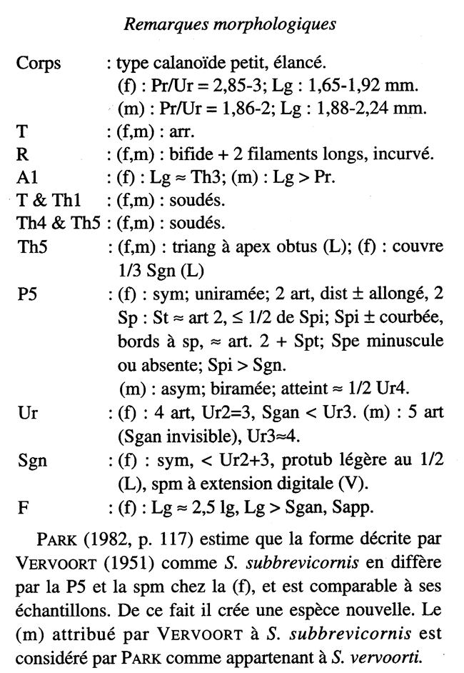 Espce Scaphocalanus vervoorti - Planche 11 de figures morphologiques