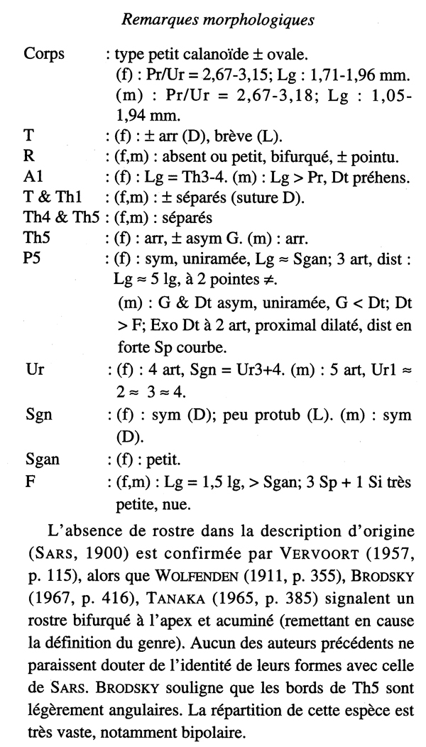 Species Temorites brevis - Plate 11 of morphological figures
