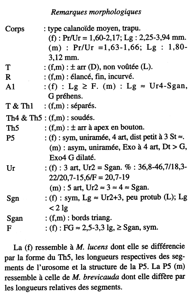 Espce Metridia curticauda - Planche 12 de figures morphologiques