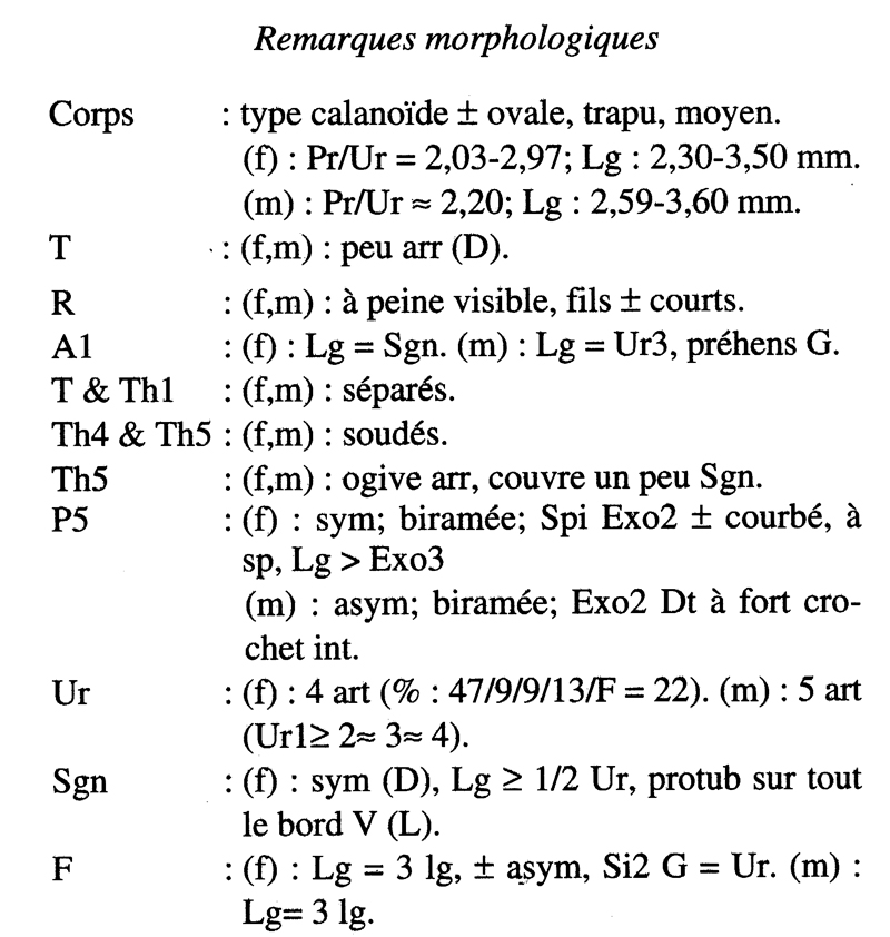 Espèce Paraheterorhabdus (Antirhabdus) compactus - Planche 8 de figures morphologiques
