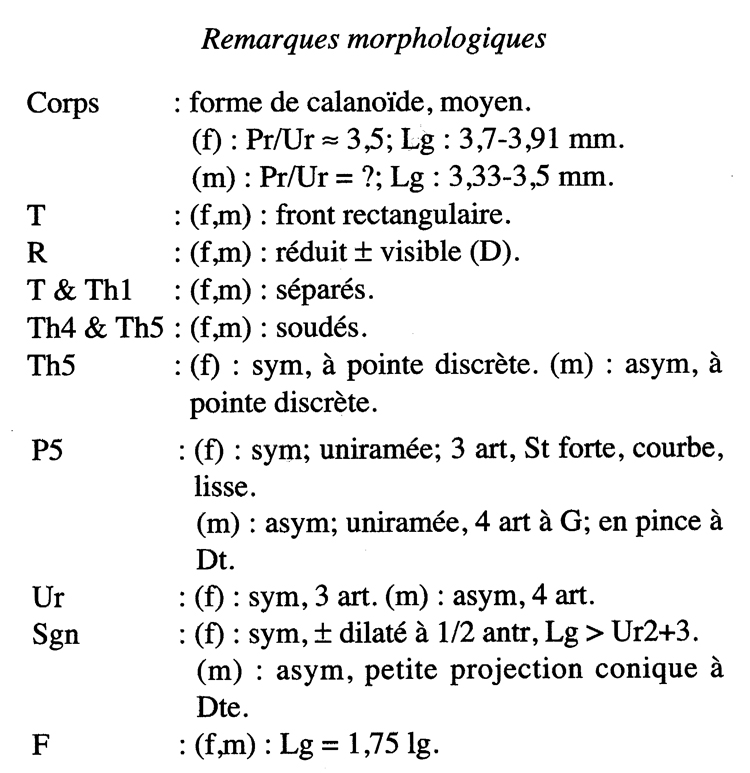 Espce Candacia falcifera - Planche 2 de figures morphologiques