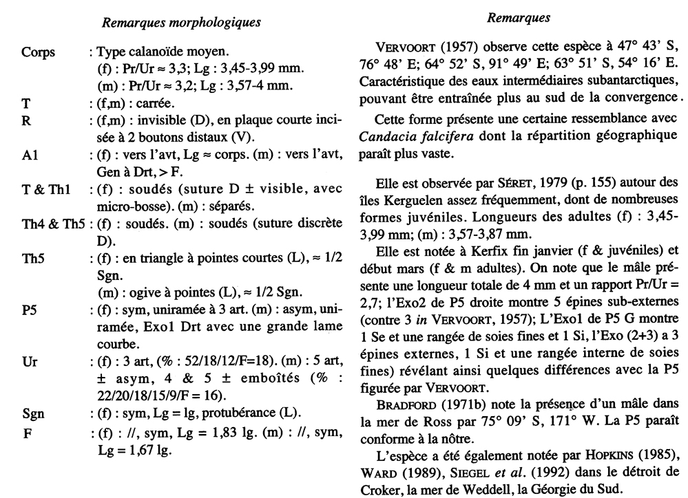 Espce Candacia maxima - Planche 12 de figures morphologiques