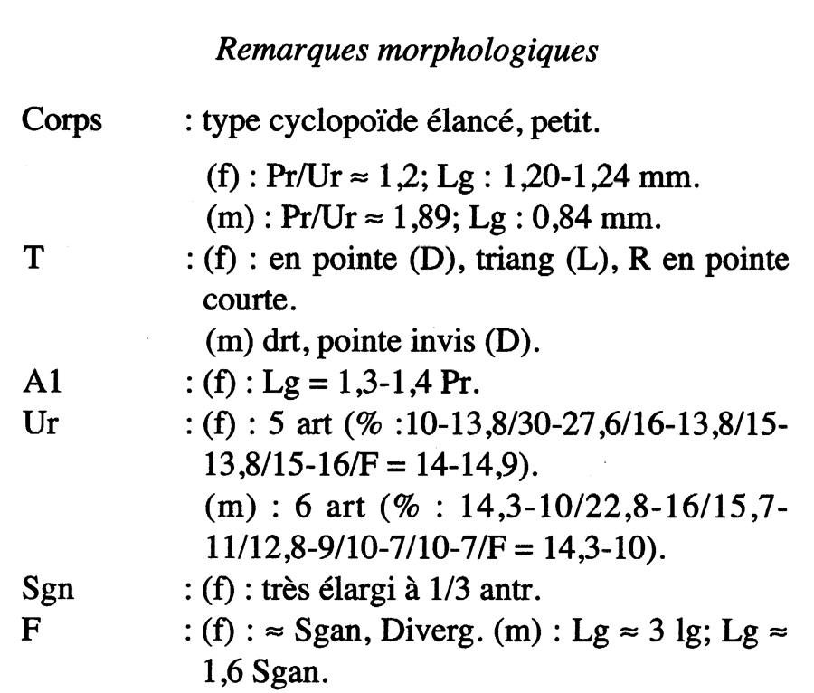Espce Oithona frigida - Planche 9 de figures morphologiques