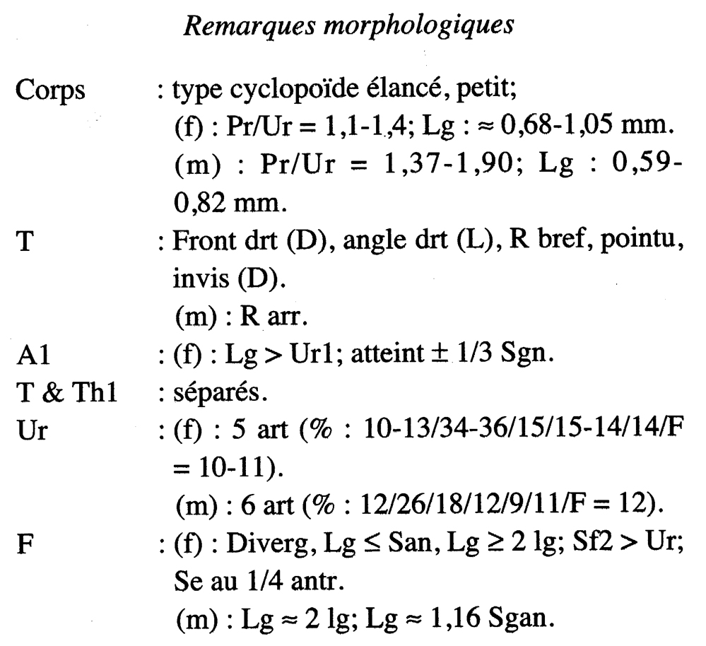 Espce Oithona similis-Group - Planche 44 de figures morphologiques